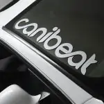 stiker-za-chelen-prozorec-canibeat